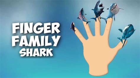 daddy finger songs|daddy finger song shark.